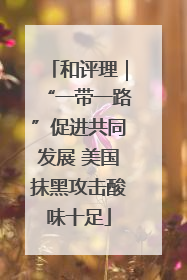 和评理｜“一带一路”促进共同发展 美国抹黑攻击酸味十足
