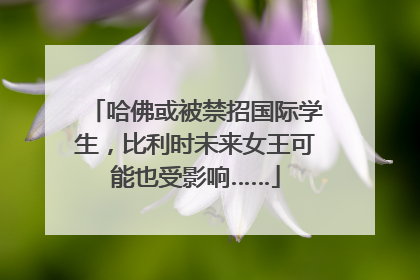 哈佛或被禁招国际学生，比利时未来女王可能也受影响……