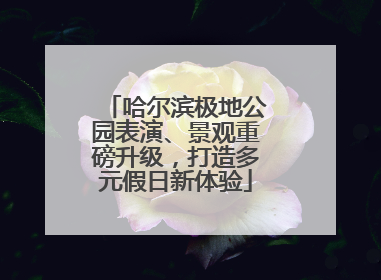 哈尔滨极地公园表演、景观重磅升级，打造多元假日新体验