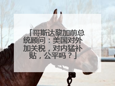 哥斯达黎加前总统顾问：美国对外加关税，对内猛补贴，公平吗？