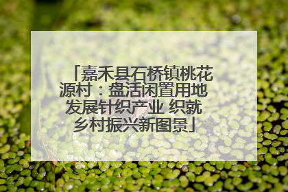 嘉禾县石桥镇桃花源村：盘活闲置用地发展针织产业 织就乡村振兴新图景