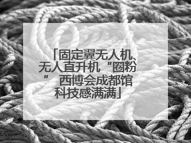 固定翼无人机、无人直升机“圈粉” 西博会成都馆科技感满满