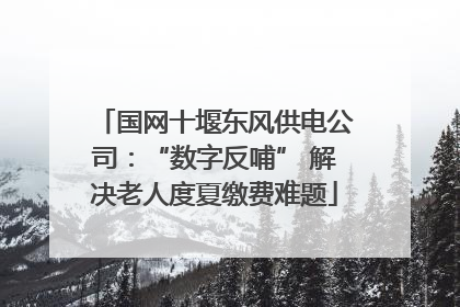 国网十堰东风供电公司：“数字反哺” 解决老人度夏缴费难题