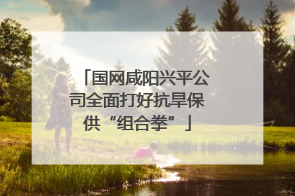 国网咸阳兴平公司全面打好抗旱保供“组合拳”