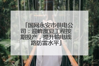 国网永安市供电公司：迎峰度夏工程按期投产，提升输电线路防雷水平