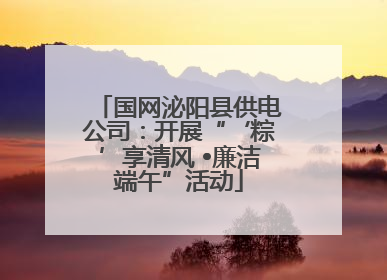 国网泌阳县供电公司：开展“‘粽’享清风 •廉洁端午”活动