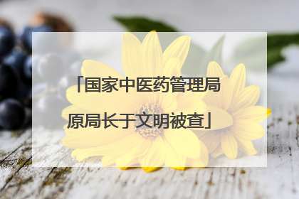 国家中医药管理局原局长于文明被查