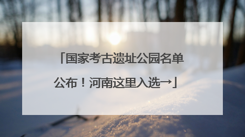国家考古遗址公园名单公布！河南这里入选→