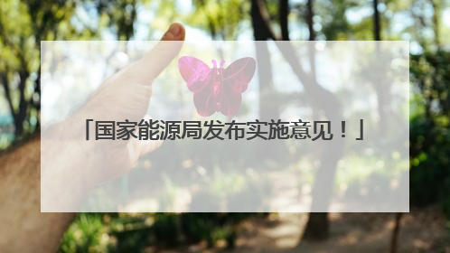 国家能源局发布实施意见！