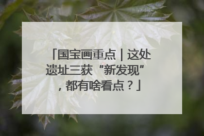 国宝画重点｜这处遗址三获“新发现”，都有啥看点？