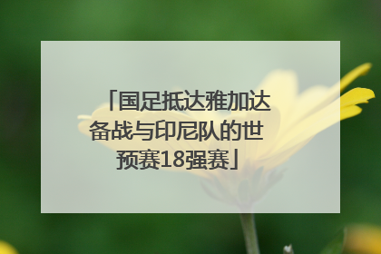 国足抵达雅加达备战与印尼队的世预赛18强赛
