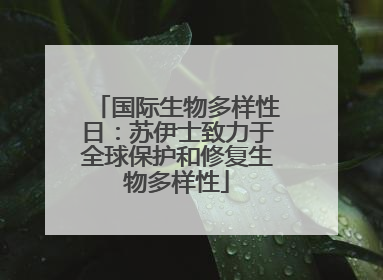 国际生物多样性日：苏伊士致力于全球保护和修复生物多样性