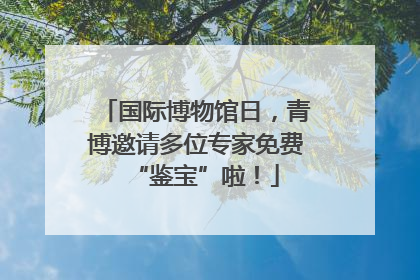 国际博物馆日，青博邀请多位专家免费“鉴宝”啦！