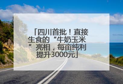 四川首批！直接生食的“牛奶玉米”亮相，每亩纯利提升3000元