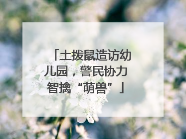 土拨鼠造访幼儿园，警民协力智擒“萌兽”