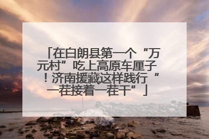 在白朗县第一个“万元村”吃上高原车厘子！济南援藏这样践行“一茬接着一茬干”