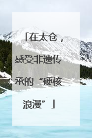 在太仓，感受非遗传承的“硬核浪漫”