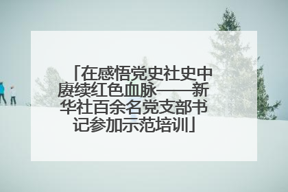 在感悟党史社史中赓续红色血脉——新华社百余名党支部书记参加示范培训