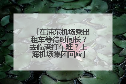 在浦东机场乘出租车等待时间长？去临港打车难？上海机场集团回应