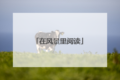 在风景里阅读