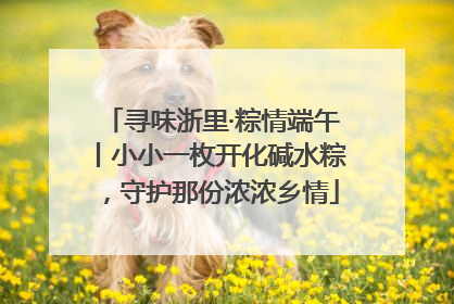 寻味浙里·粽情端午丨小小一枚开化碱水粽，守护那份浓浓乡情