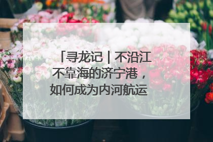 寻龙记｜不沿江不靠海的济宁港，如何成为内河航运的“绝对主力”
