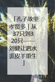 孔子故里孝贤多｜从37只到320只——刘健让泗水裘皮羊重生