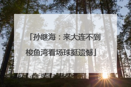 孙继海：来大连不到梭鱼湾看场球挺遗憾