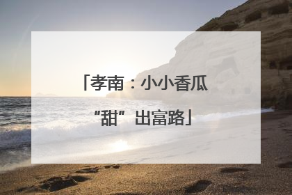孝南：小小香瓜 “甜”出富路
