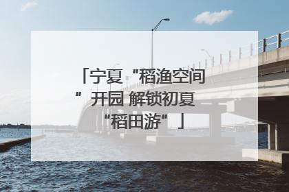 宁夏“稻渔空间”开园 解锁初夏“稻田游”
