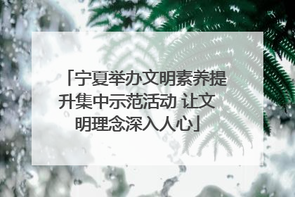 宁夏举办文明素养提升集中示范活动 让文明理念深入人心