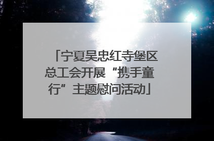 宁夏吴忠红寺堡区总工会开展“携手童行”主题慰问活动