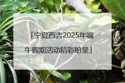 宁夏西吉2025年端午假期活动精彩纷呈