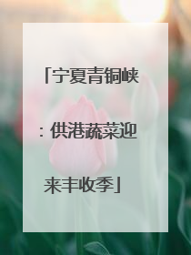 宁夏青铜峡：供港蔬菜迎来丰收季