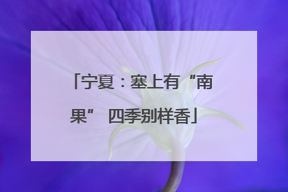 宁夏：塞上有“南果” 四季别样香