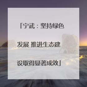 宁武：坚持绿色发展 推进生态建设取得显著成效