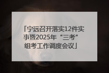 宁远召开落实12件实事暨2025年“三考”组考工作调度会议