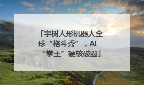 宇树人形机器人全球“格斗秀”，AI“拳王”硬核破圈