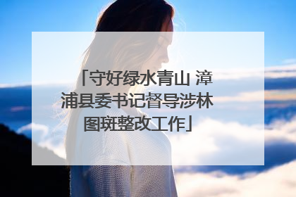 守好绿水青山 漳浦县委书记督导涉林图斑整改工作