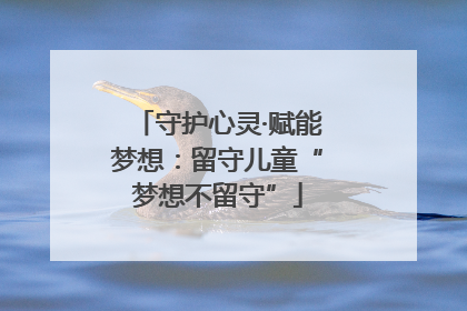 守护心灵·赋能梦想：留守儿童“梦想不留守”