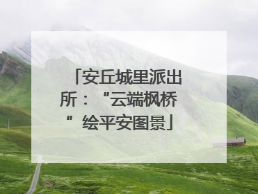 安丘城里派出所：“云端枫桥”绘平安图景