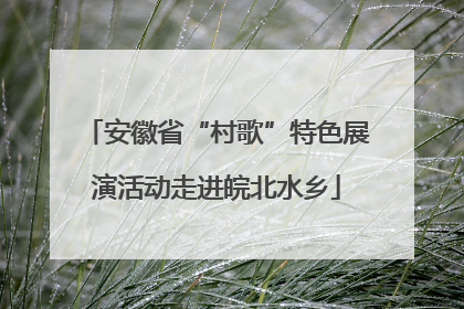 安徽省“村歌”特色展演活动走进皖北水乡