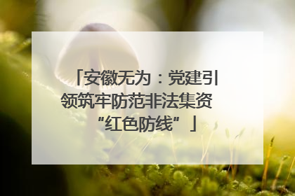 安徽无为：党建引领筑牢防范非法集资“红色防线”