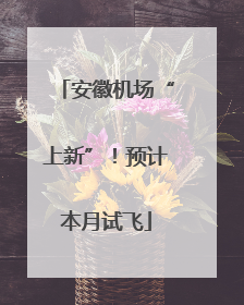 安徽机场“上新”！预计本月试飞