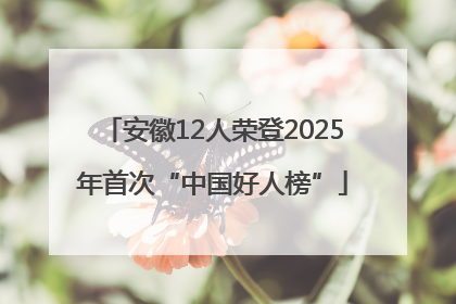 安徽12人荣登2025年首次“中国好人榜”