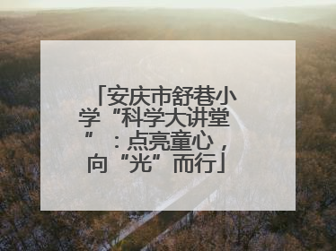 安庆市舒巷小学“科学大讲堂”：点亮童心，向“光”而行
