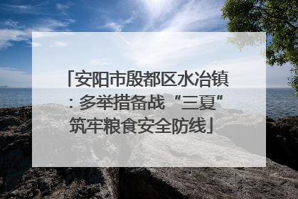 安阳市殷都区水冶镇：多举措备战“三夏” 筑牢粮食安全防线