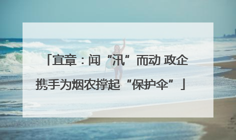 宜章：闻“汛”而动 政企携手为烟农撑起“保护伞”