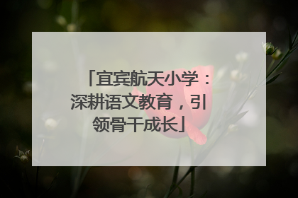 宜宾航天小学：深耕语文教育，引领骨干成长