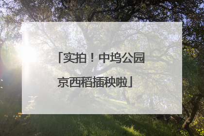 实拍！中坞公园京西稻插秧啦